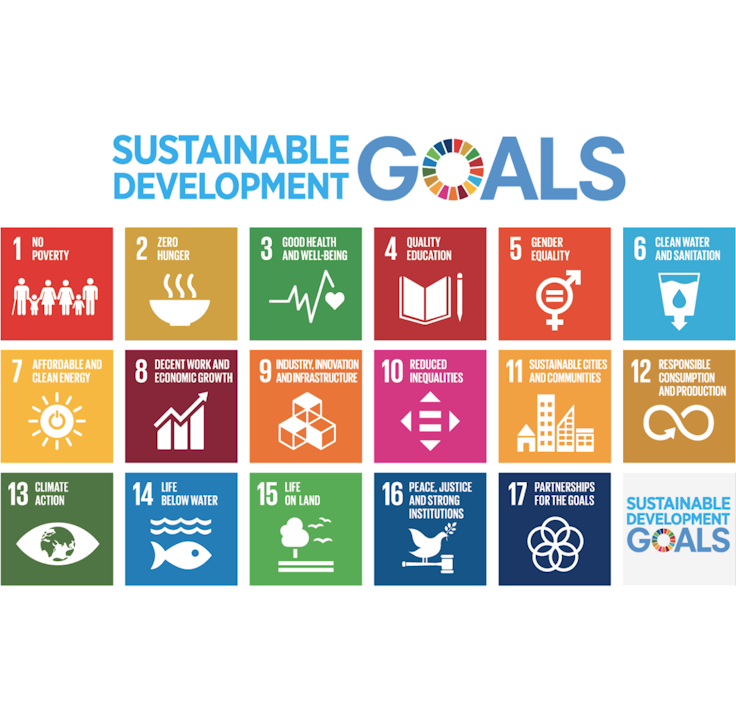 Graphic of 17 UN Sustainable Goals